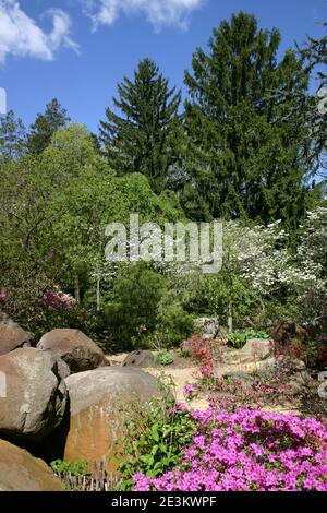 Sayen Botanical Gardens, Hamilton, NJ, USA Stockfoto