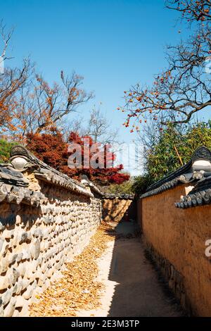 Andong Hahoe Folk Village im Herbst in Andong, Korea Stockfoto