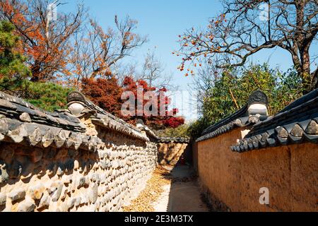 Andong Hahoe Folk Village im Herbst in Andong, Korea Stockfoto