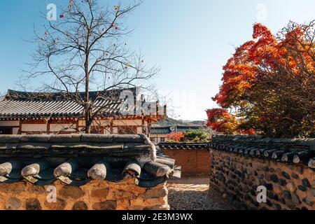 Andong Hahoe Folk Village im Herbst in Andong, Korea Stockfoto