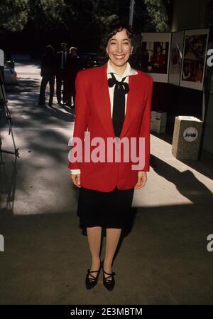 DIDI CONN 1988 Quelle: Ralph Dominguez/MediaPunch Stockfoto