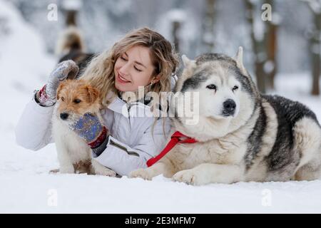 Das Mädchen reitet auf einem Schlitten auf einem Schlitten mit sibirischen Huskies im Winterwald. Haustier. Husky. Husky Art Poster, Husky Print, Stockfoto