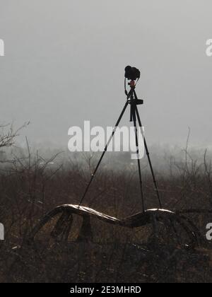 Stativstativ 2 Stockfoto