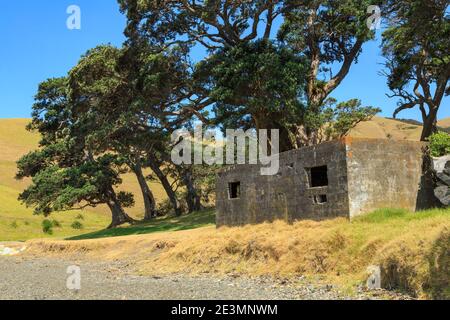 Ein alter Bunker aus dem 2. Weltkrieg in der Fletcher Bay an der abgelegenen Nordspitze der Coromandel Peninsula, Neuseeland Stockfoto