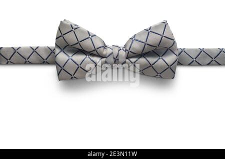 Fliege isoliert auf weißem Hintergrund Stockfoto