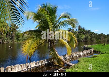 Nationalpark Halbinsel Zapata, Laguna del Tesoro, Kuba Stockfoto