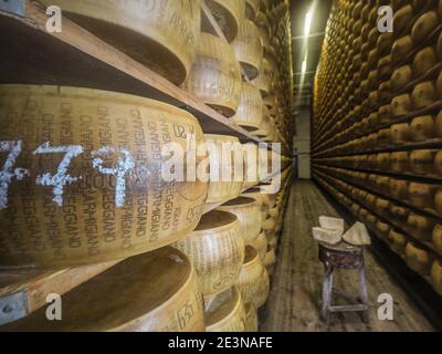 Parmigiano Reggiano werden in Reihen gelegt und auf Holzbrettern im Hombre Farm Lagerhaus ruhen gelassen. Auf diese Weise das Äußere des Käserads . Stockfoto