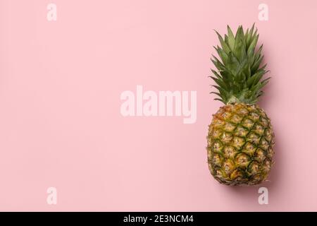 Einzige reife Ananas auf rosa Hintergrund mit Platz für Text, ein trendiges tropisches Ananas-Banner in Pastellrosa Stockfoto