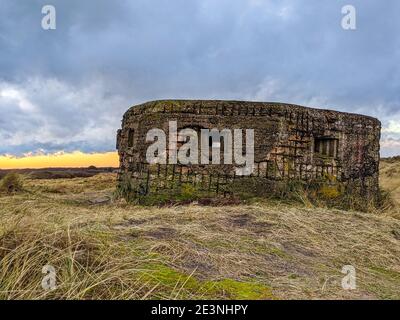 Ein verderbter Pillbox-Bunker aus dem 2. Weltkrieg von FW3 Typ 24 an Englands Ostküste in Horsey, Norfolk. Gebaut im 2. Weltkrieg aus Beton und Eisenstangen in einem Sechseck Stockfoto