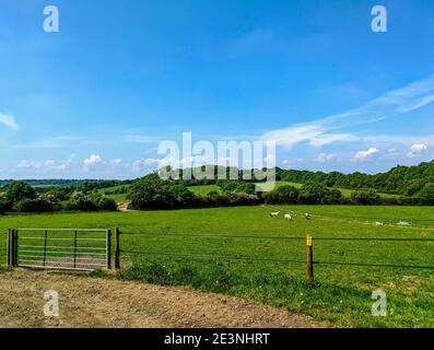 Grünes Wiesenfeld eingezäunt mit elektrischem Zaun, um Pferde darin zu halten. Ferne Wälder auf Hügeln und blauen Himmel. Totteridge, London. Stockfoto