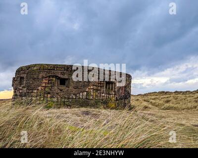 Ein verderbter Pillbox-Bunker aus dem 2. Weltkrieg von FW3 Typ 24 an Englands Ostküste in Horsey, Norfolk. Gebaut im 2. Weltkrieg aus Beton und Eisenstangen in einem Sechseck Stockfoto