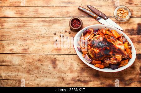 Ganze gebackene Rebhuhn mit Kürbis.Gebratenes Fleisch.Copy Raum Stockfoto