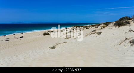 Pego Beach, Comporta, Alentejo, Portugal Stockfoto