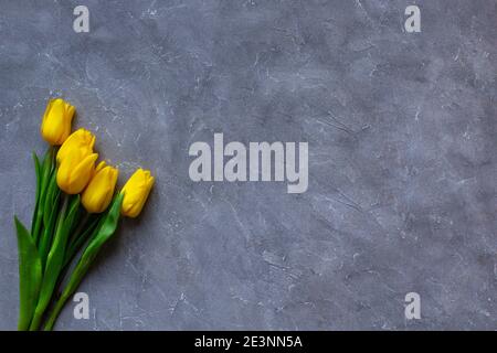 Gelbe Tulpen auf grauem Hintergrund. Platz für Text und Trendfarbe 2021 kopieren. Stockfoto