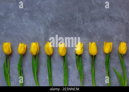 Gelbe Tulpen auf grauem Hintergrund. Platz für Text und Trendfarbe 2021 kopieren. Stockfoto