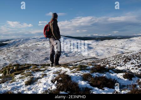 Winterschnee, Southern Uplands, Bergwanderer auf dem Grat hinauf zum Bishop Forest Hill, nahe Dumfries, mit Blick über Dumfries und Galloway zu einer Schneedecke Stockfoto