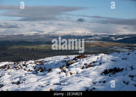 Auf dem Grat hinauf zum Bishop Forest Hill, der nach Osten schaut Über das Nith Valley zu den schneebedeckten Lowther Hills Stockfoto