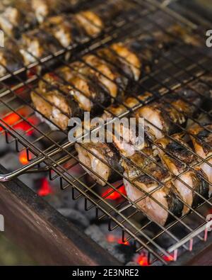 Gebratener Forellenfisch auf Holzkohlegrill. Geröstete Fischstücke auf Feuer. Stockfoto