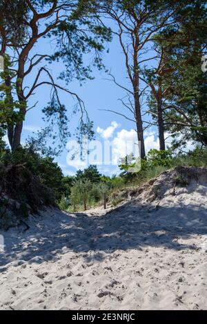 Zugang zum Strand über eine Sanddüne Sommer Stockfoto