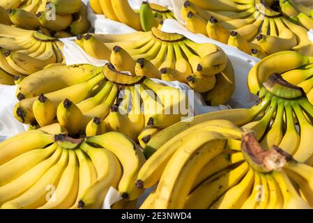 Bananenbünde auf einem Marktstand in Chengdu, Provinz Sichuan, China Stockfoto