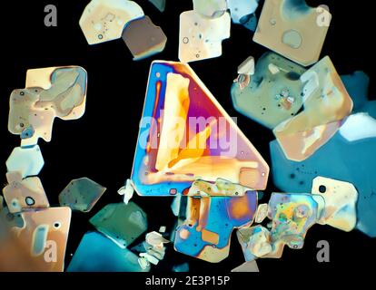 Kaliumchloratkristalle, kreuzpolarisierte Beleuchtung, Dunkelfeld-Photomikrograph Stockfoto