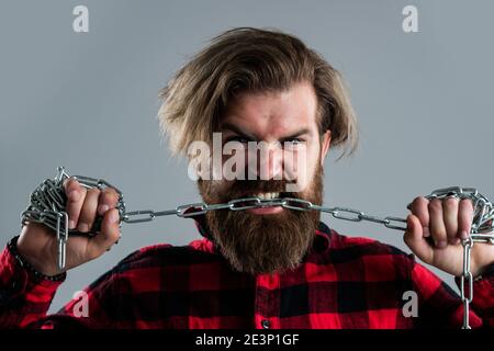 Brutaler bärtiger Mann beißt Stahlkette mit starken Zähnen, Bisskorrektur. Stockfoto