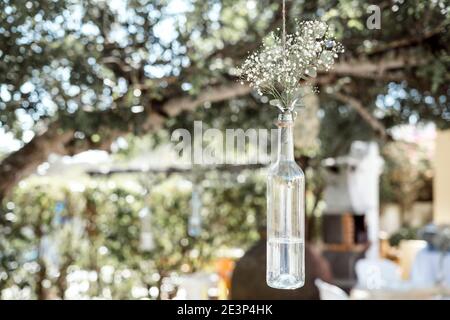 Rustikale Hochzeitsdekoration - Gypsophila in Flasche hängen auf der Baum Stockfoto