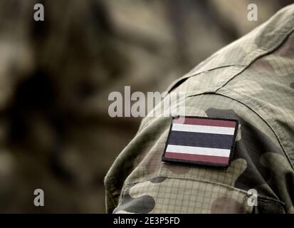 Flagge Thailands auf Militäruniform. Armee, Soldat. Collage. Stockfoto