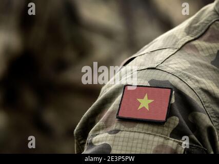 Flagge von Vietnam auf der Uniform. Armee, Soldaten, Soldaten. Collage. Stockfoto