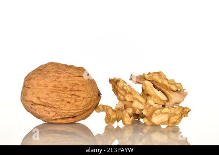 Eine ganze dunkelbraune reife Walnuss und mehrere ganze hellgelbe schmackhafte geschälte Walnusskerne auf weißem Hintergrund. Stockfoto