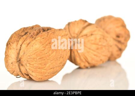 Drei dunkelbraune ganze frische Walnüsse befinden sich diagonal auf weißem Hintergrund. Die erste Nut, im Vordergrund, ist im Fokus. Stockfoto