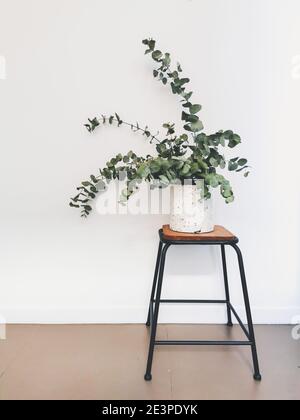 Getrocknetes Eukalyptus-Bouquet auf einem hölzernen Industriehocker vor weißem Hintergrund. Beliebter Interior Design-Trend im Jahr 2020. Stockfoto