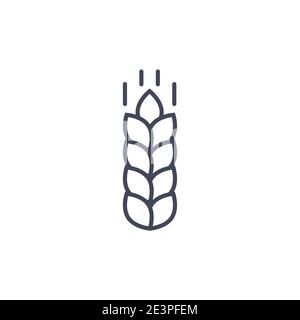 Weizenvektorlinie Symbol Getreide. Malzsymbol mit Weizenstrich Stock Vektor