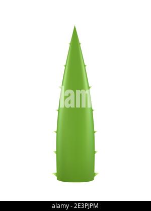 Aloe Vera Pflanze Blatt Logo Symbol. Aloe Vera isoliert Sukkulente Gel Gesundheit Pflanze Illustration Stock Vektor