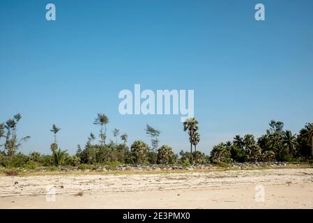 Sauberer Strand und tropische Meereslandschaft Stockfoto