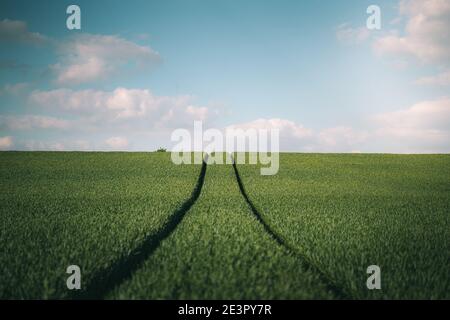 Wunderbare Landschaft der Mährischen Toskana, Tschechische Republik Stockfoto