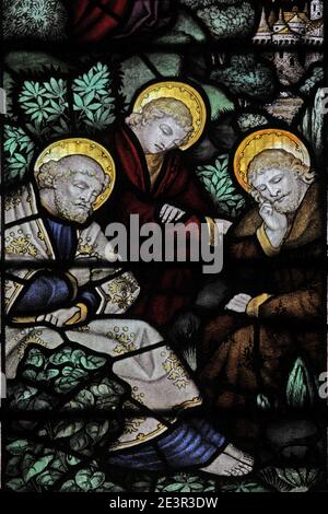 Ein Buntglasfenster von C E Kempe & Co., das die Qual Christi und die schlafenden Jünger darstellt, St Andrew's Church, Weissendine, Rutland Stockfoto