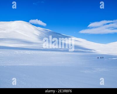 Skifahrer Skitouren im Rondane Nationalpark, Norwegen, Skandinavien Stockfoto