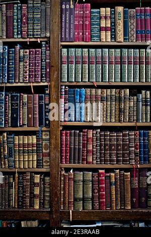 PORTUGAL / Porto / Livraria Academica / hundertjährige Buchhandlung, eröffnet 1912, in der Rua dos Martyres da Liberdade in Porto. Stockfoto