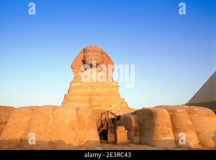 Nordafrika Ägypten Ägypten Gizeh die Sphinx Low-Level-Ansicht blauer Himmel Raum für Kopie Sonnenaufgang Sommer Stockfoto