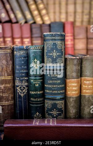 FRANKREICH / Ilie-de-France / Paris / Bouquinistes / Les Bouquinistes, Buchhändler am Flussufer. Stockfoto