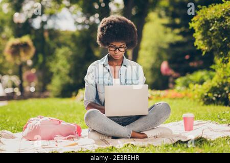 Foto-Porträt von schwarz gehäutet junge Studentin Studium tun Projekt auf Laptop sitzen im Park mit Brille in der Nähe der Tasche tasse Kaffee Stockfoto