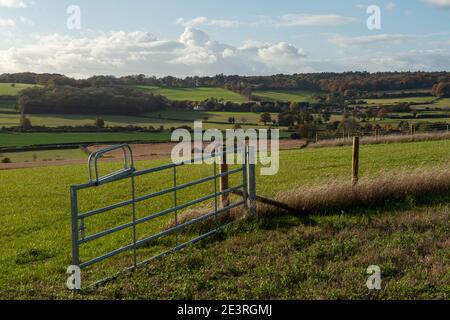 Wendover Dean, Aylesbury Vale, Buckinghamshire, Großbritannien. Oktober 2020. Wunderschöne Teile der Chilterns Landschaft werden für immer verschwinden, da HS2 Ltd eine riesige Narbe über die Chilterns schnitzen, die ein Gebiet von herausragender natürlicher Schönheit ist. Die umstrittene Hochgeschwindigkeitsbahn von London nach Birmingham bedeutet, dass Ackerland, Häuser, Wälder und Lebensräume von Wildtieren durch HS2 zerstört werden, was für die lokalen Gemeinschaften und Umweltschützer große Aufregung verursacht. Quelle: Maureen McLean/Alamy Stockfoto