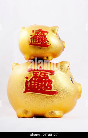 Portrait von Golden Sparschwein qualitativ hochwertiges Foto Stockfoto