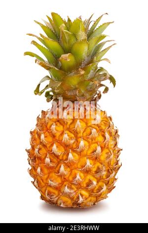 Mini Ananas Pfad isoliert auf weißem Stockfoto