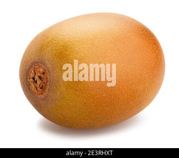 Golden Kiwi Pfad isoliert auf weißem Stockfoto