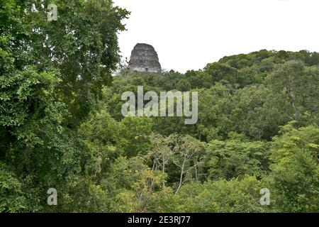 Tikal, Guatemala, Mittelamerika: Maya-Ruinen erheben sich über dem Dschungel im berühmten Tikal Nationalpark, UNESCO-Weltkulturerbe. Stockfoto