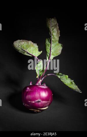 Lila Kohlrabi isoliert auf schwarz Stockfoto