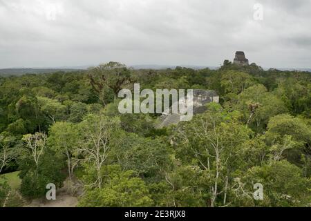 Tikal, Guatemala, Mittelamerika: Maya-Ruinen erheben sich über dem Dschungel im berühmten Tikal Nationalpark, UNESCO-Weltkulturerbe. Stockfoto