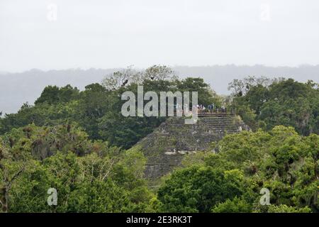 Tikal, Guatemala, Mittelamerika: Maya-Ruinen erheben sich über dem Dschungel im berühmten Tikal Nationalpark, UNESCO-Weltkulturerbe. Stockfoto